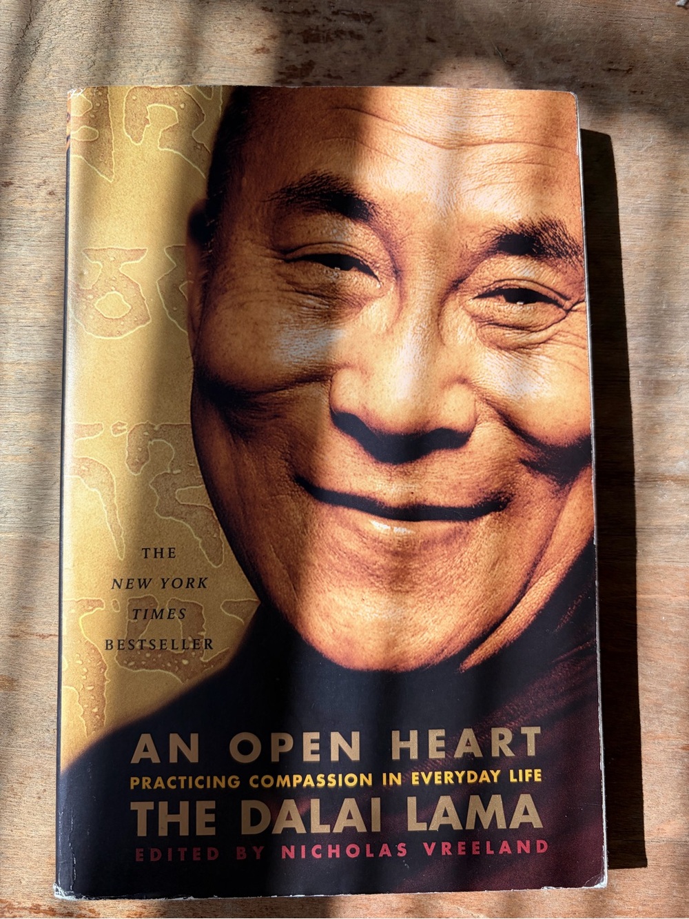 Dalai Lama An Open Heart Practicing Compassion Buddhism Spirituality Book